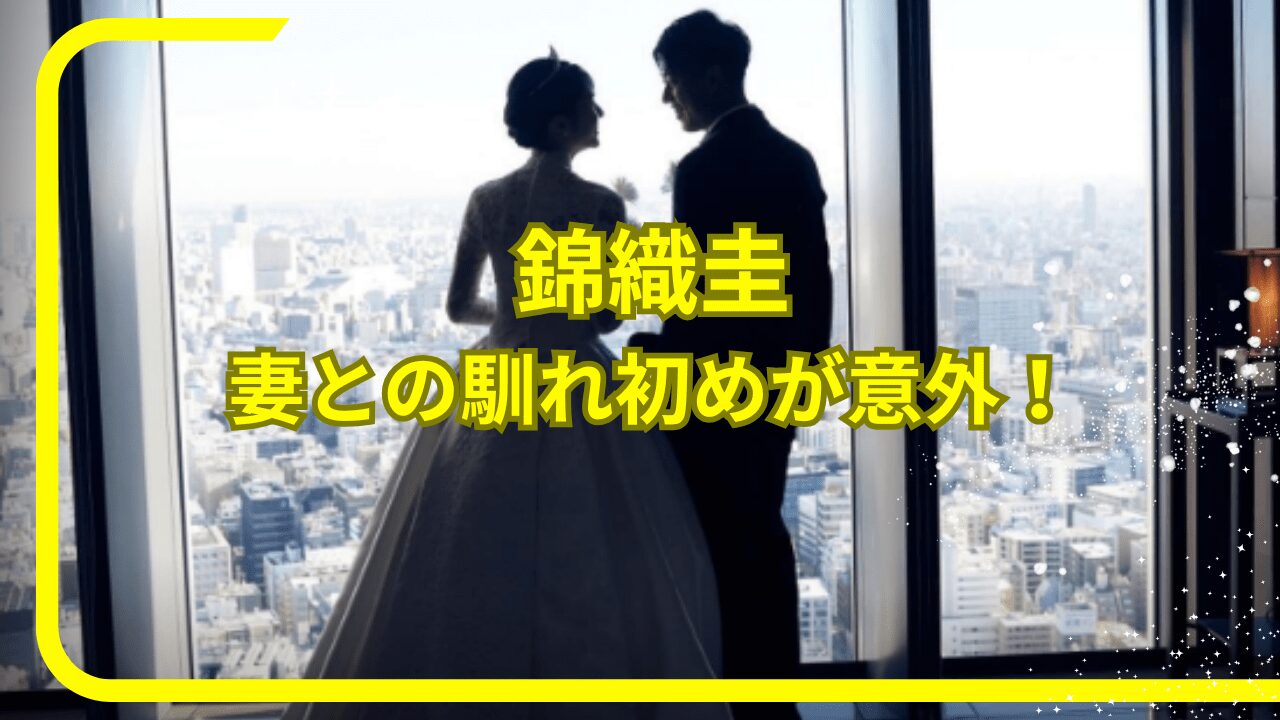 錦織圭妻，錦織圭嫁，錦織圭馴れ初め，錦織圭子供